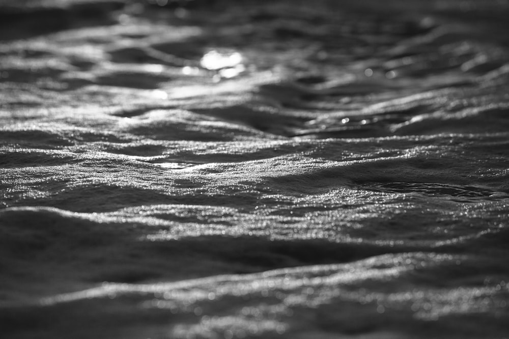water droplets in grayscale photography