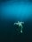 A sea turtle gracefully swims through the deep blue ocean, its flippers extended as it glides effortlessly through the water. Sunlight filters down from the surface, creating rays and a serene, almost ethereal atmosphere.