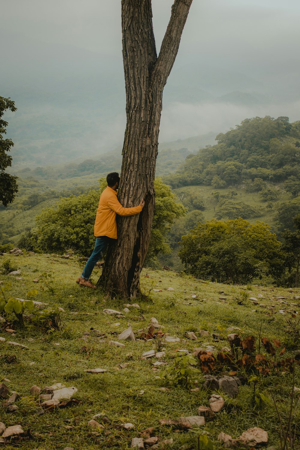 man in blue shirt and blue denim jeans standing beside brown tree during daytime