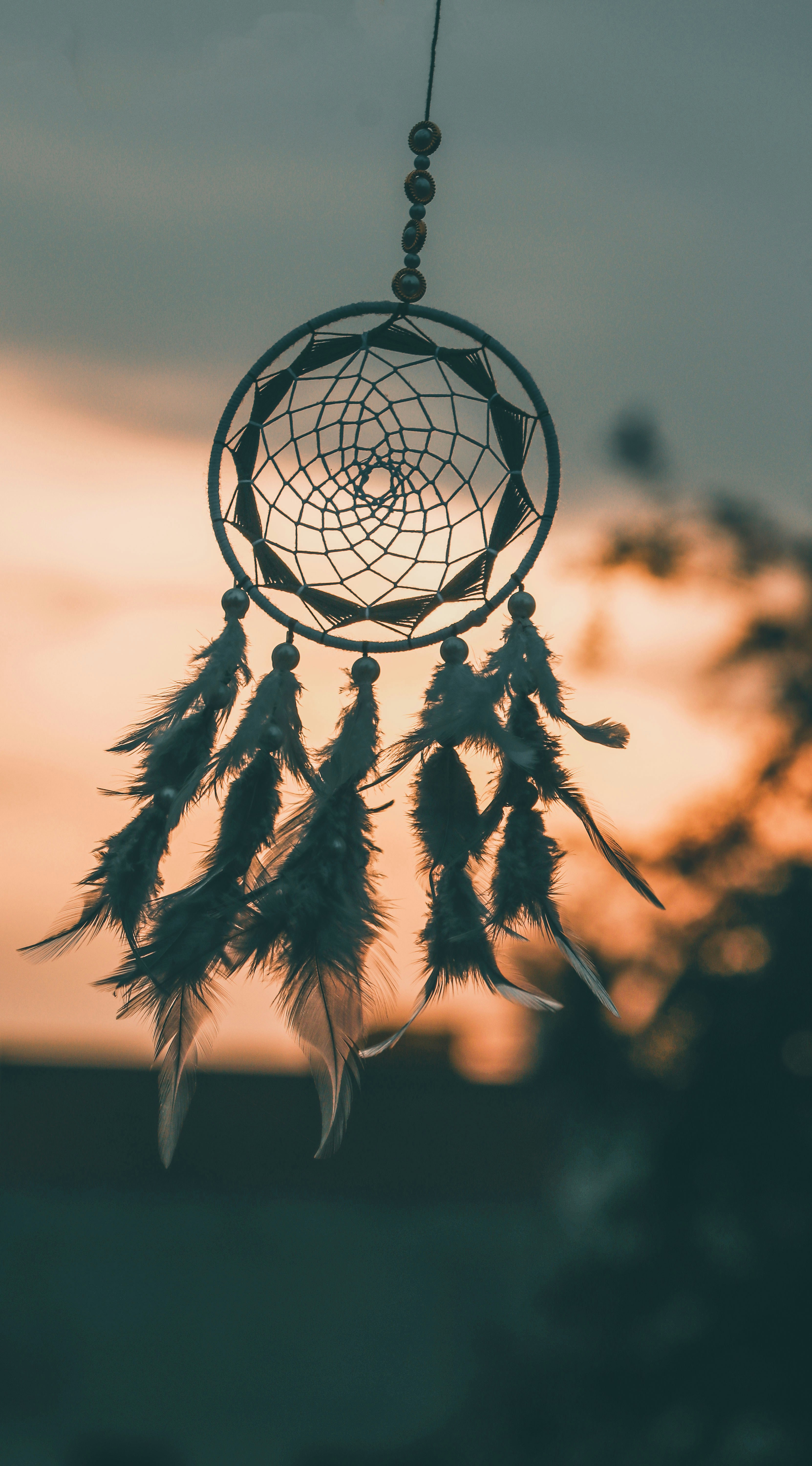 Photo by clutch_and_capture