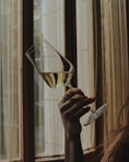 person holding clear wine glass