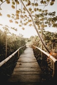 brown wooden bridge over river