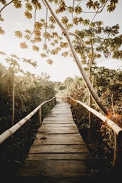 brown wooden bridge over river