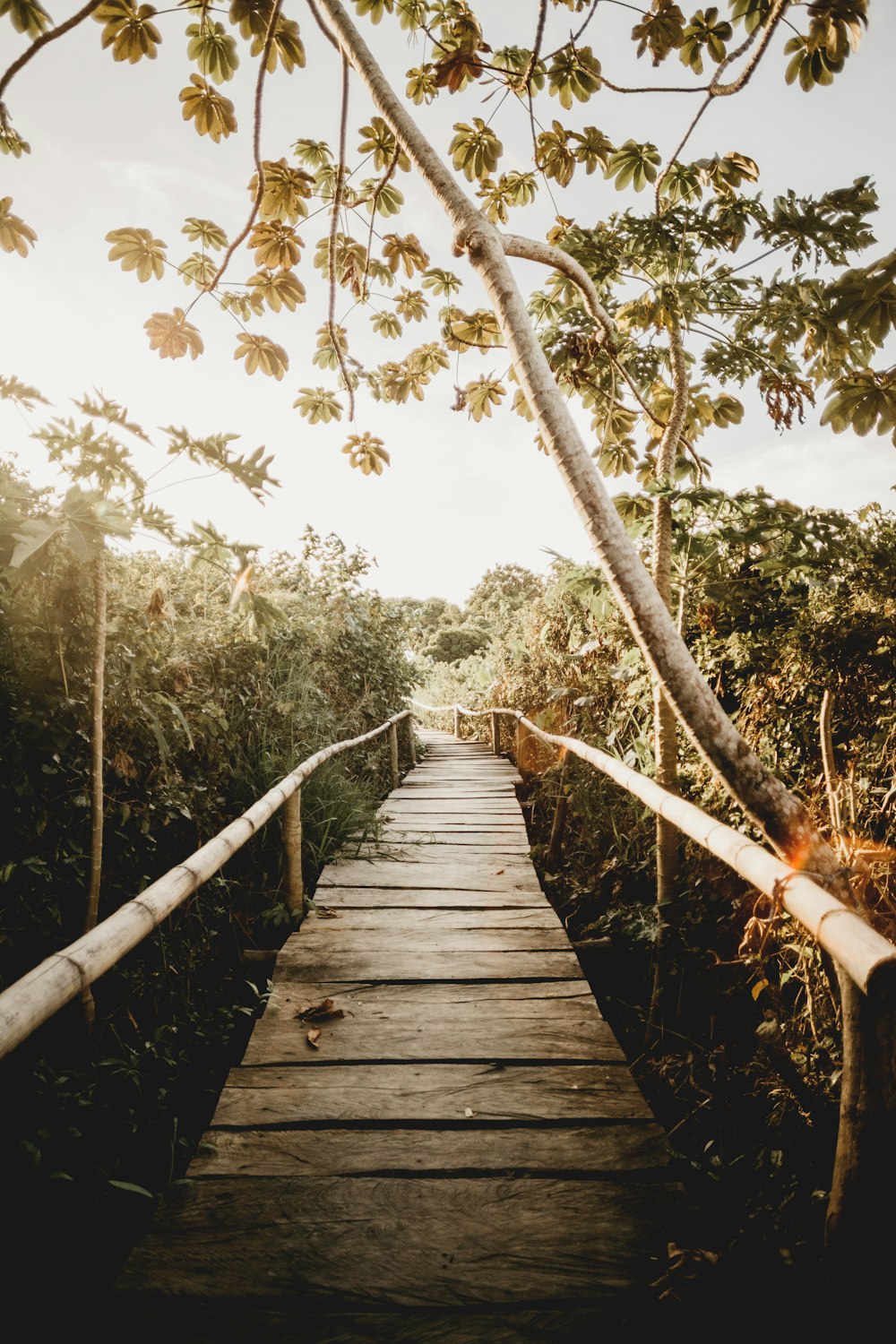 Pont en bois brun au-dessus de la rivière