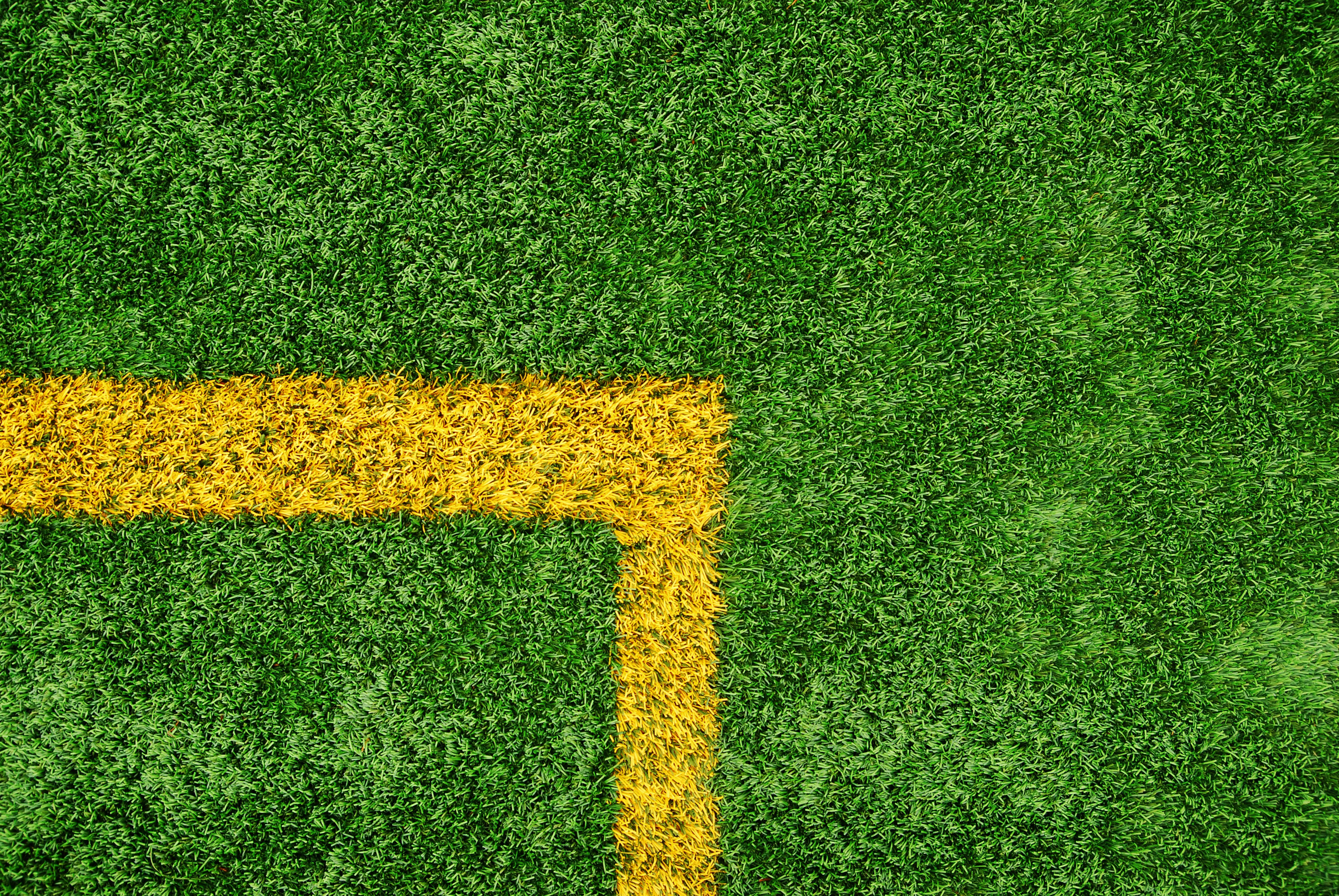 green and yellow grass field