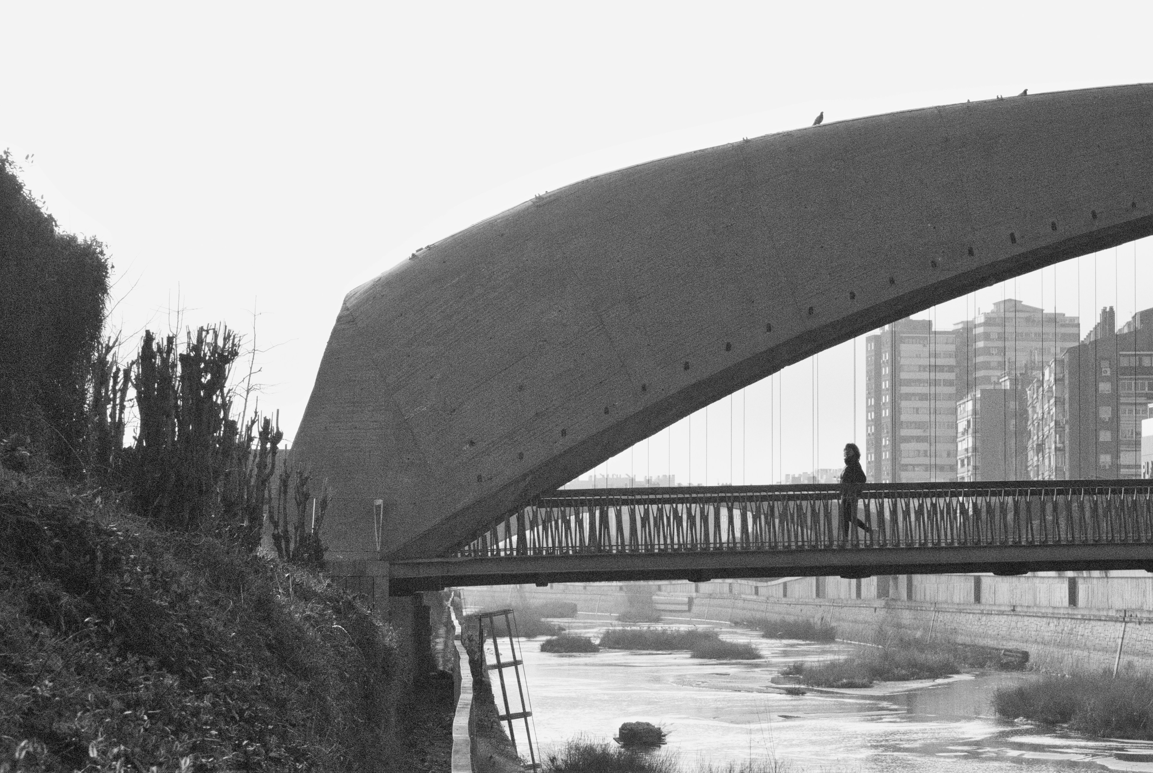 Photo by luismisanchez