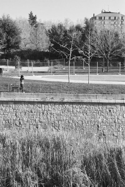 Grayscale photo of person walking on pathway. Woman walking dog, black and white