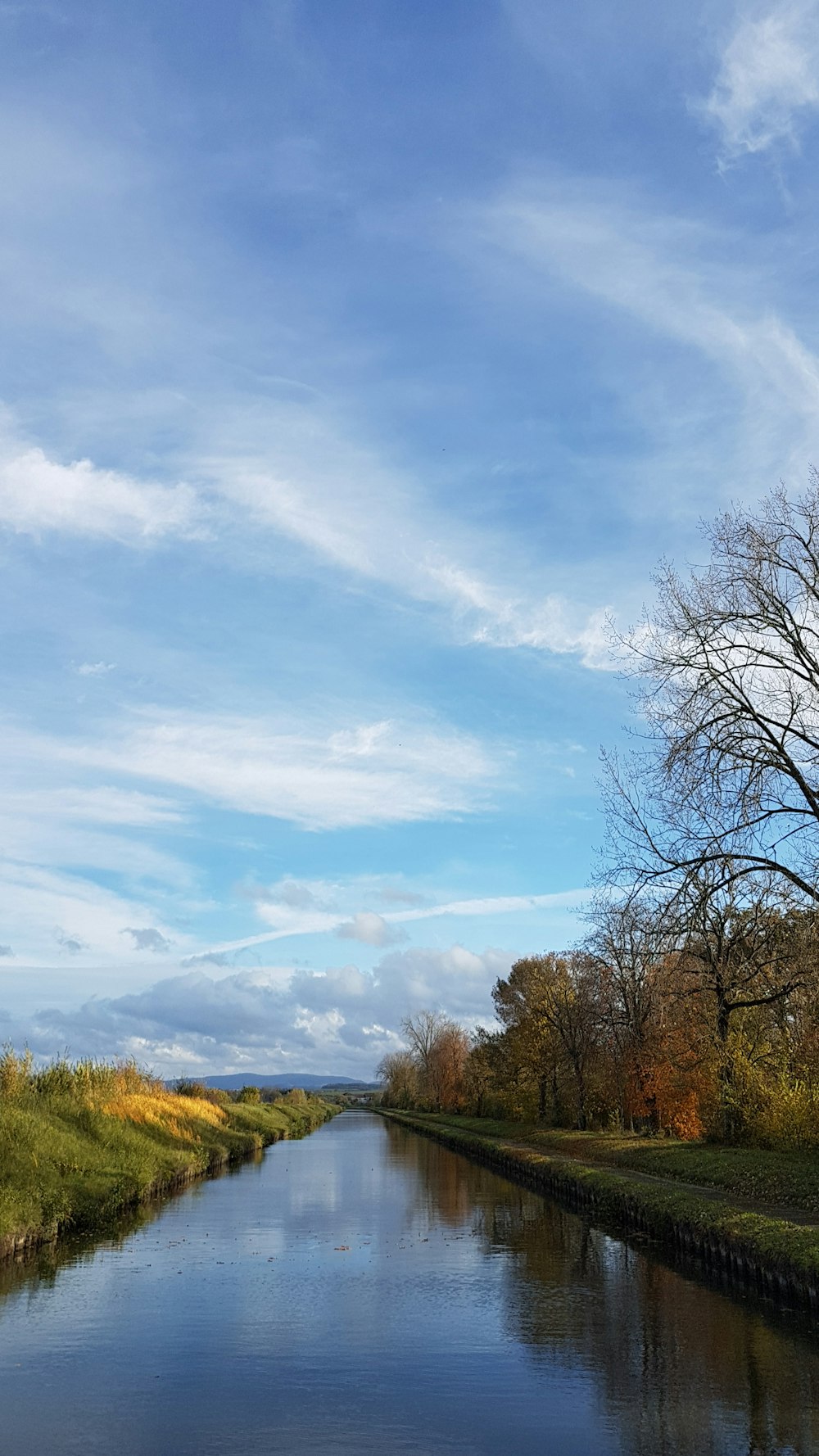 Blattlose Bäume unter blauem Himmel tagsüber