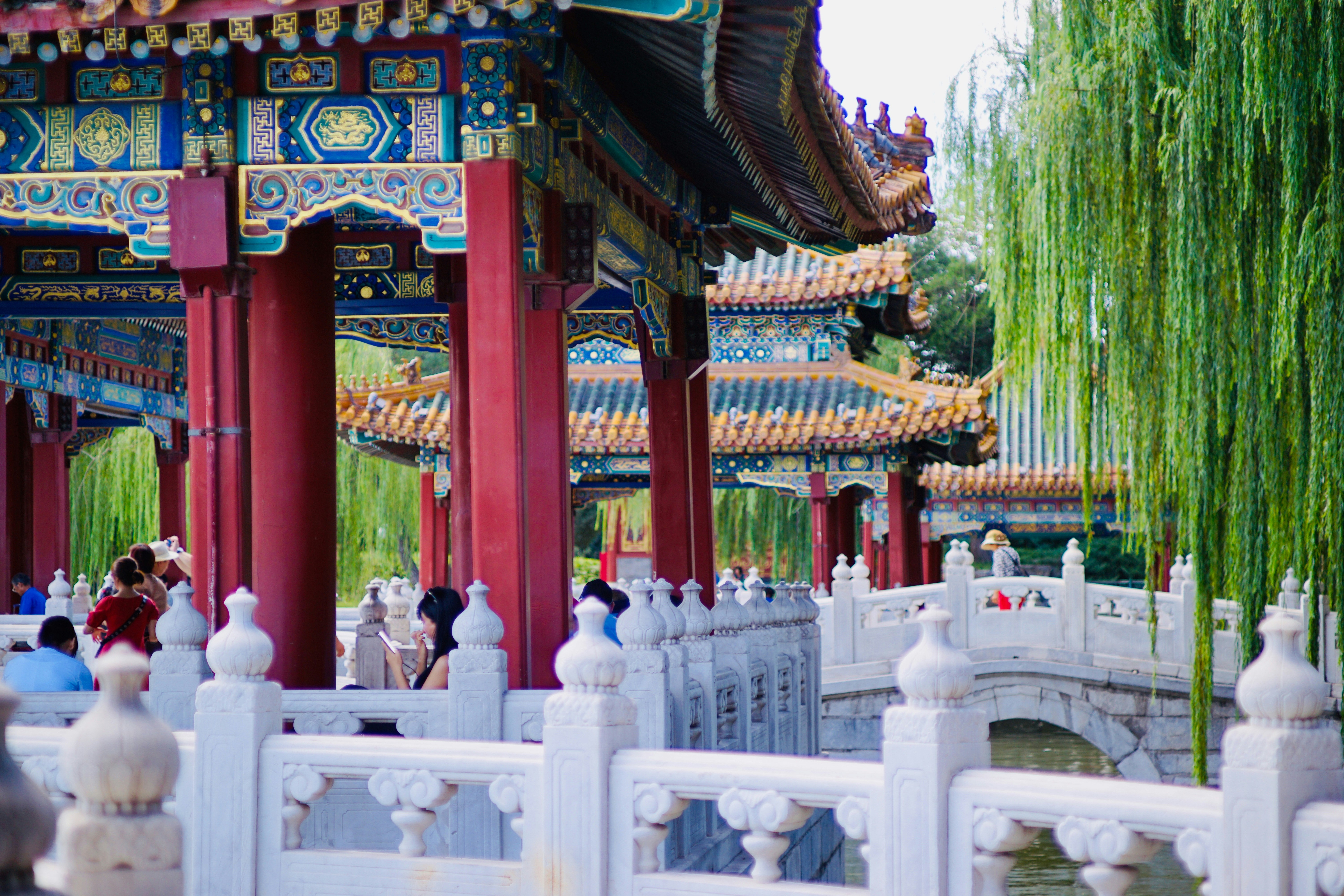 Photo by bells_mayer