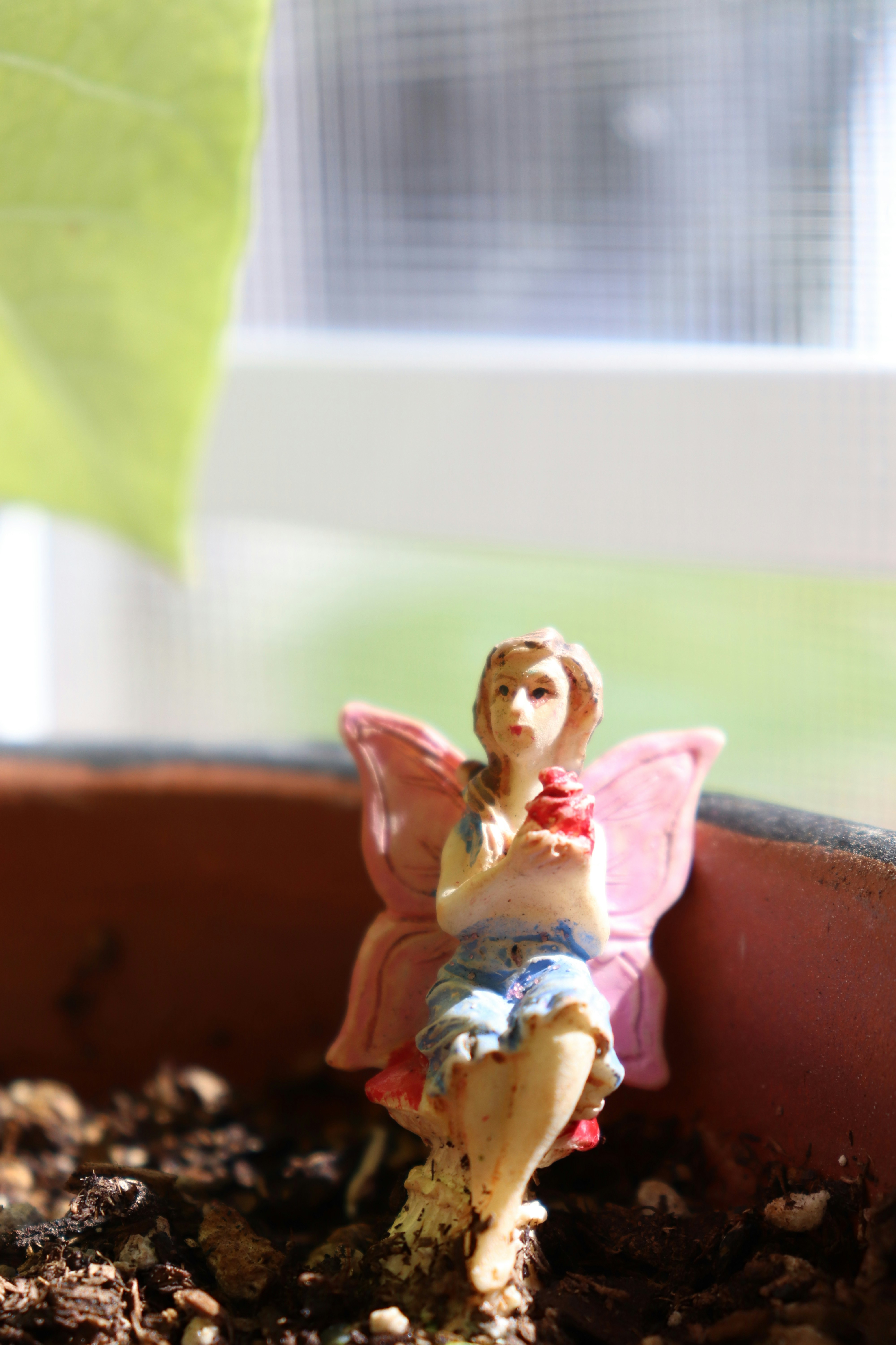 Photo by cocoshawn_22