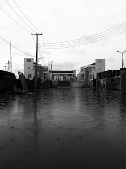grayscale photo of buildings near body of water