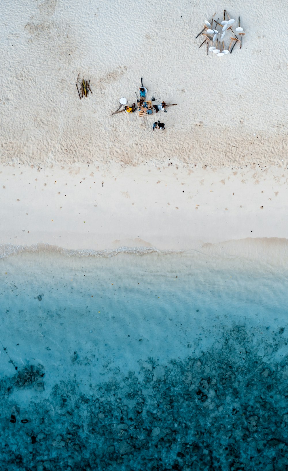 people on beach during daytime