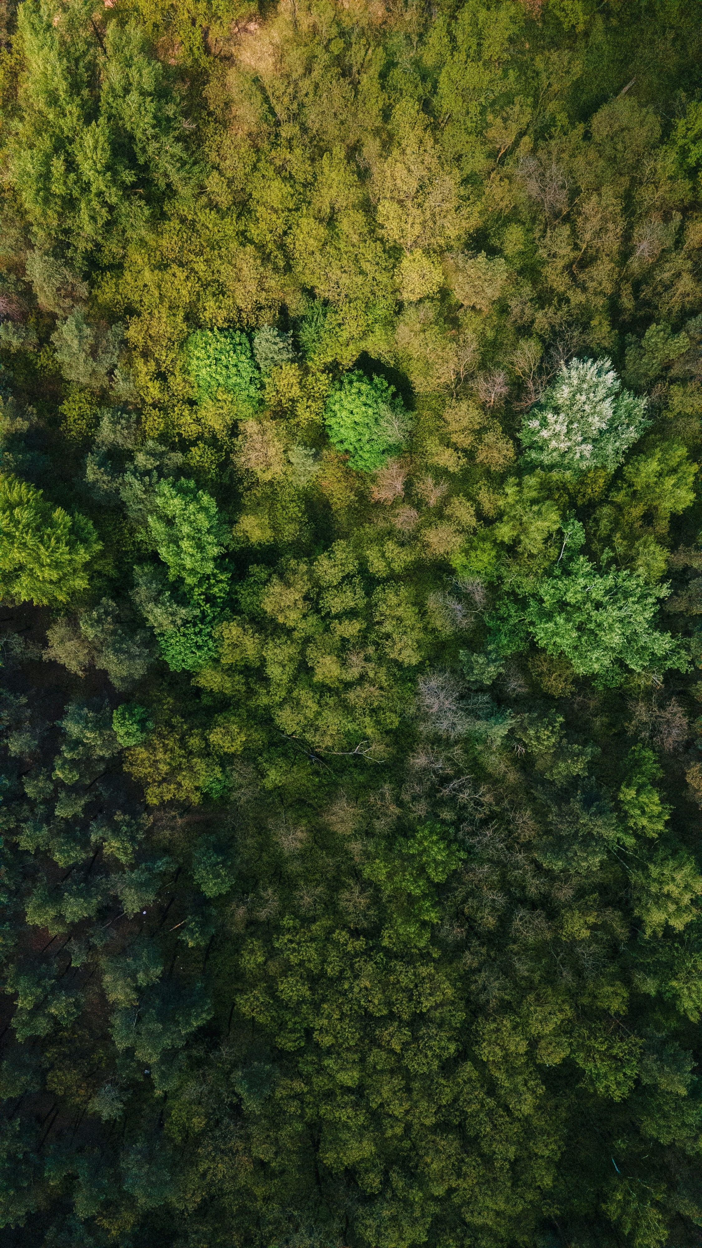 Photo by olenkasergienko