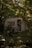 A cozy caravan surrounded by lush green foliage with string lights hanging above. A wooden deck is visible in front of the caravan, adorned with a chair draped with a green blanket. A large lantern and some plants enhance the natural setting.