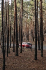 red car in the middle of the forest during daytime