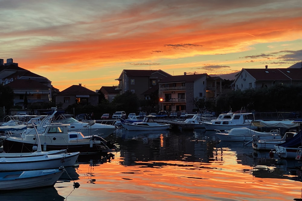 white and black boat on dock during sunset