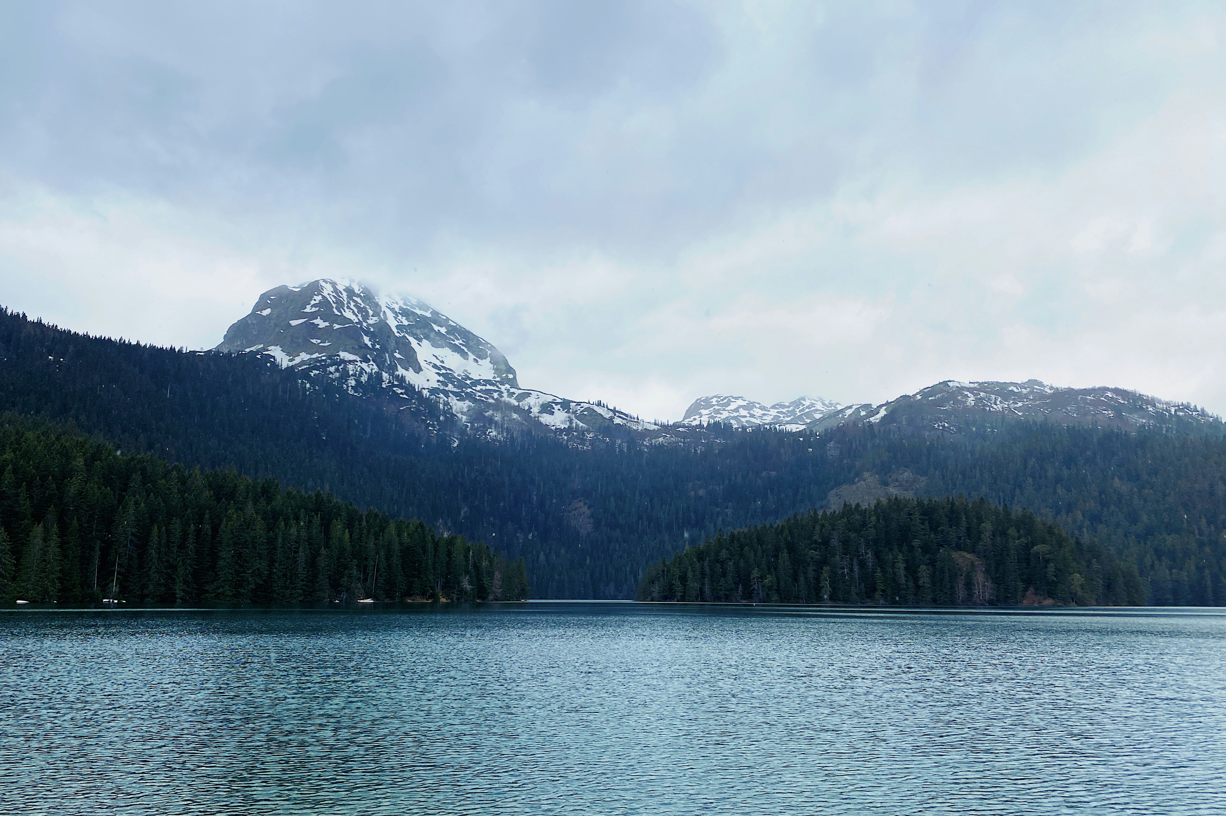 green trees near lake and mountain under white clouds during daytime