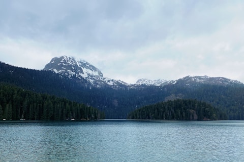 green trees near lake and mountain under white clouds during daytime