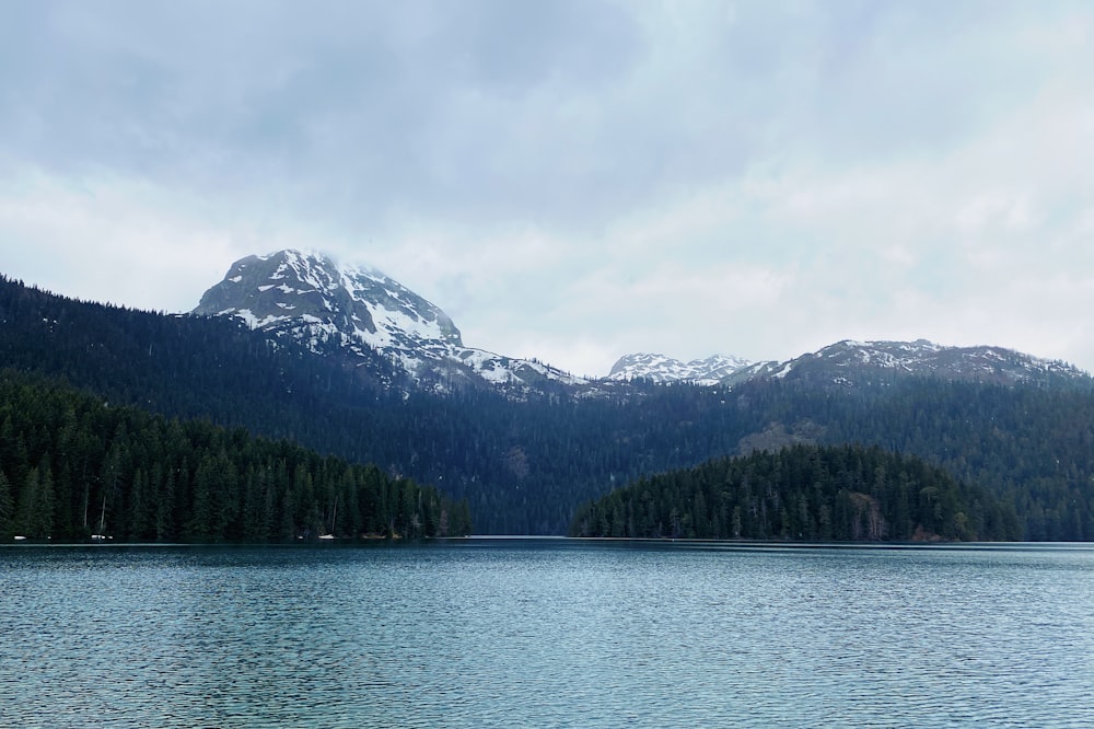 grüne Bäume in der Nähe von See und Berg tagsüber unter weißen Wolken