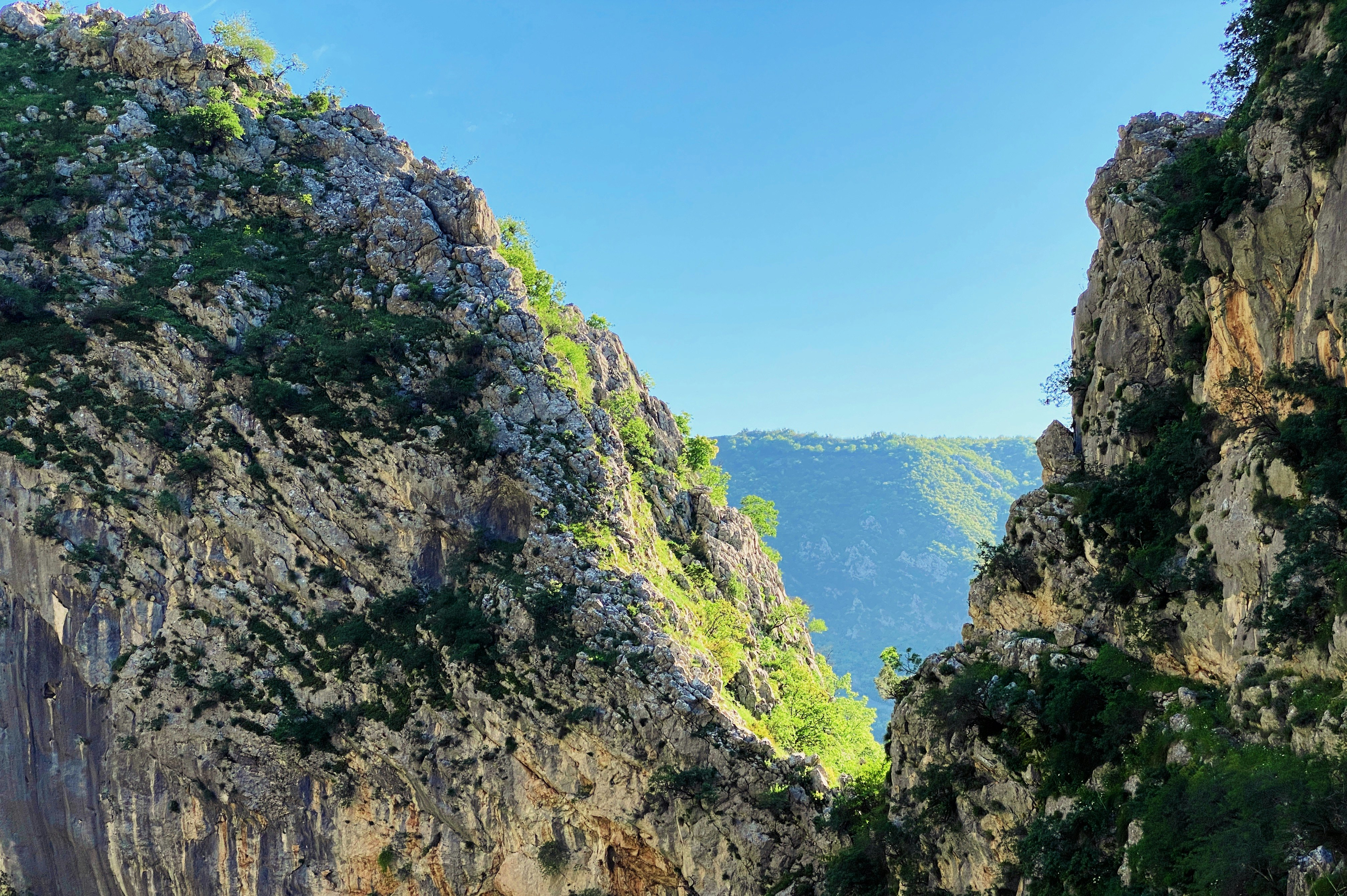 green trees on rocky mountain under blue sky during daytime