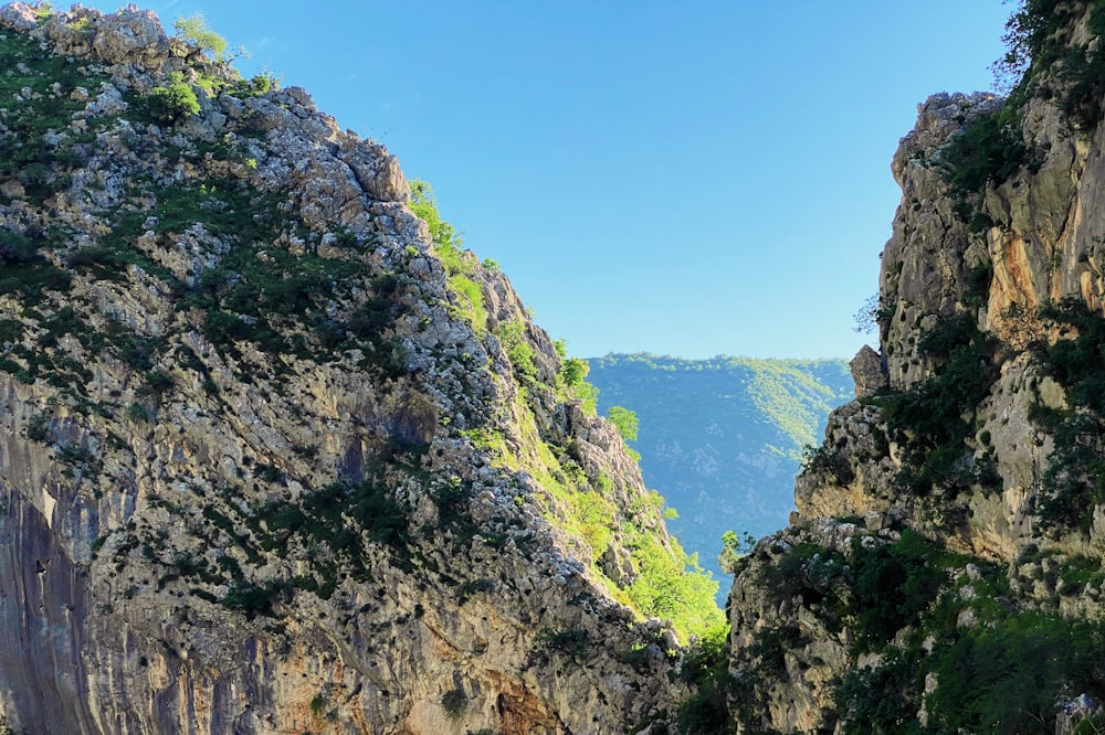 arbres verts sur la montagne rocheuse sous le ciel bleu pendant la journée