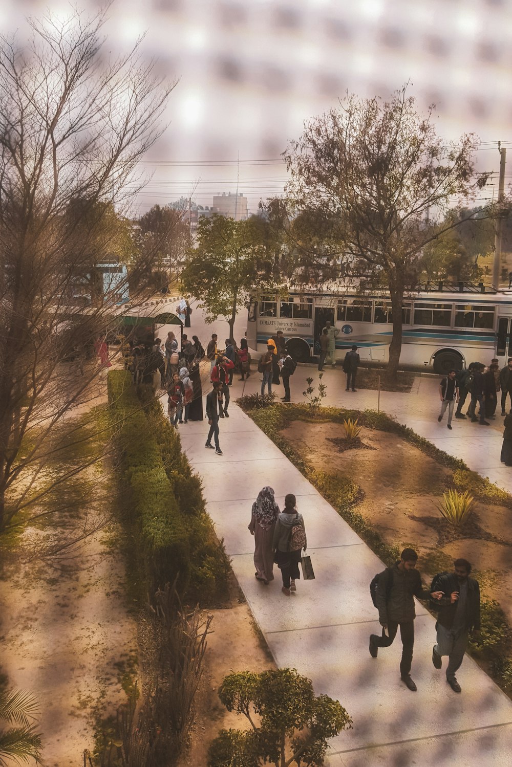 people walking on park during daytime