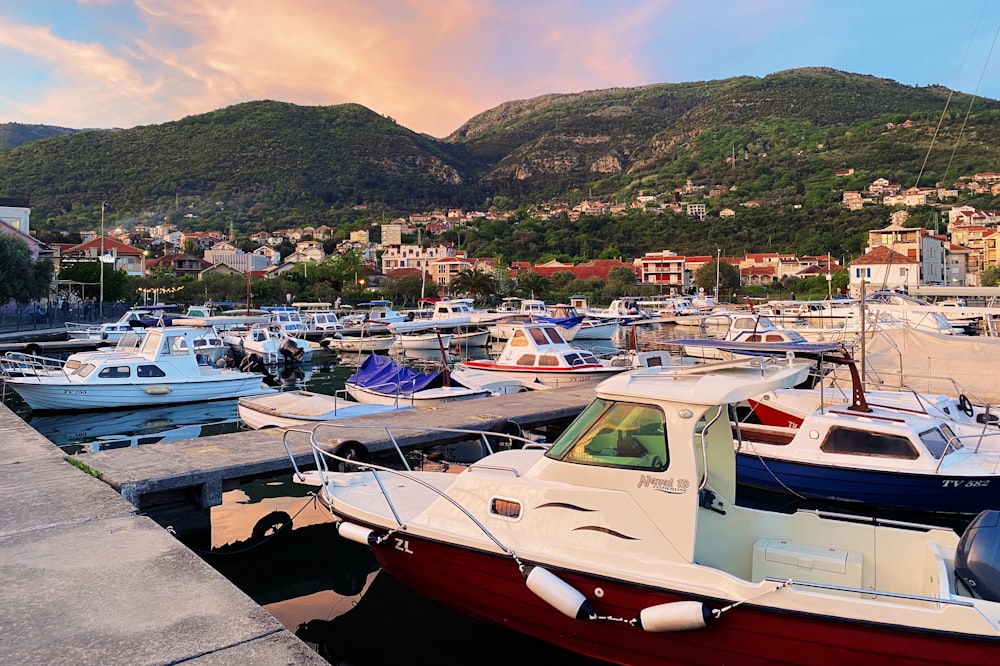 weißes und rotes Boot tagsüber am Dock