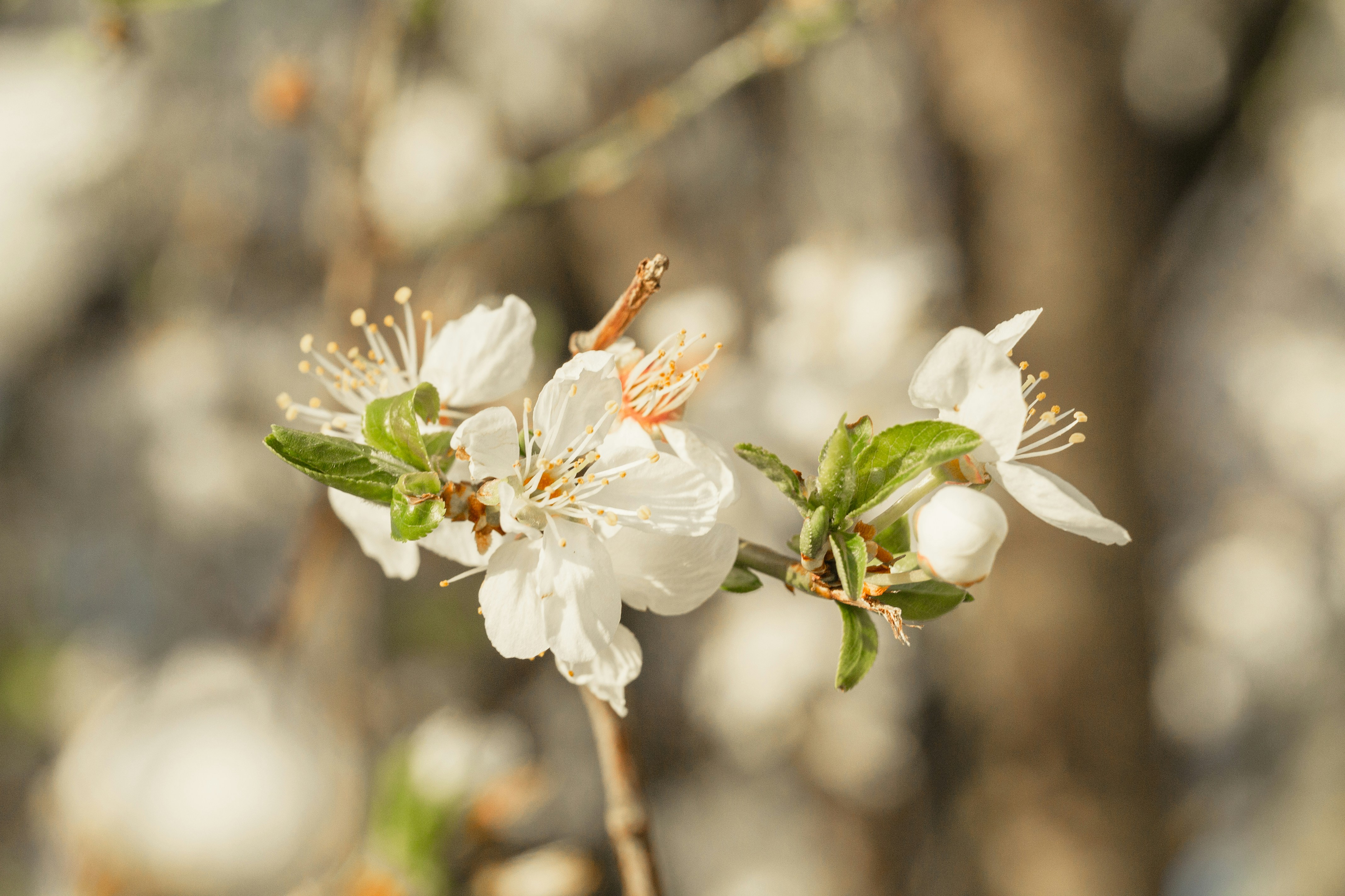 Photo by janes_clutch