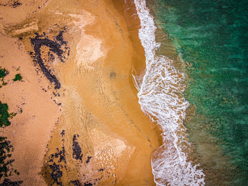 aerial view of beach during daytime