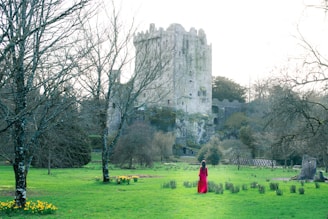 person in red robe standing on green grass field near bare trees during daytime