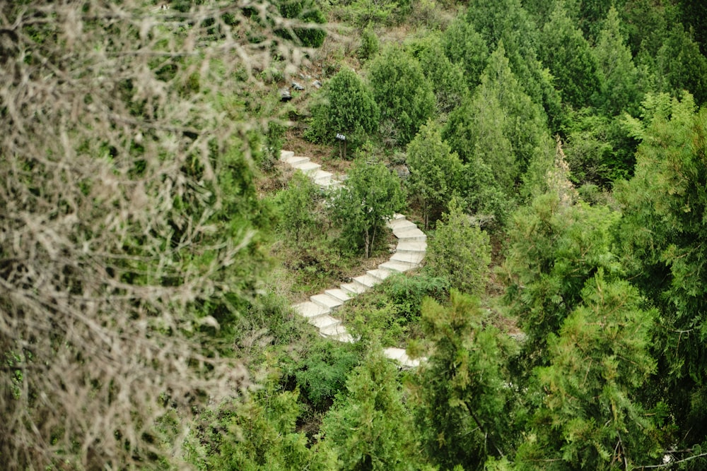 gray concrete road between green trees during daytime