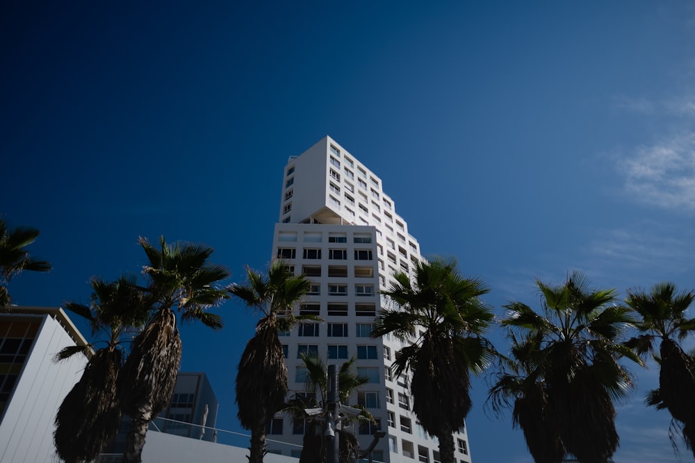 white concrete building near palm trees during daytime