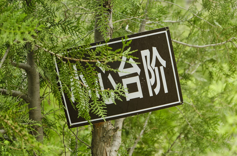 a black and white street sign hanging from a tree