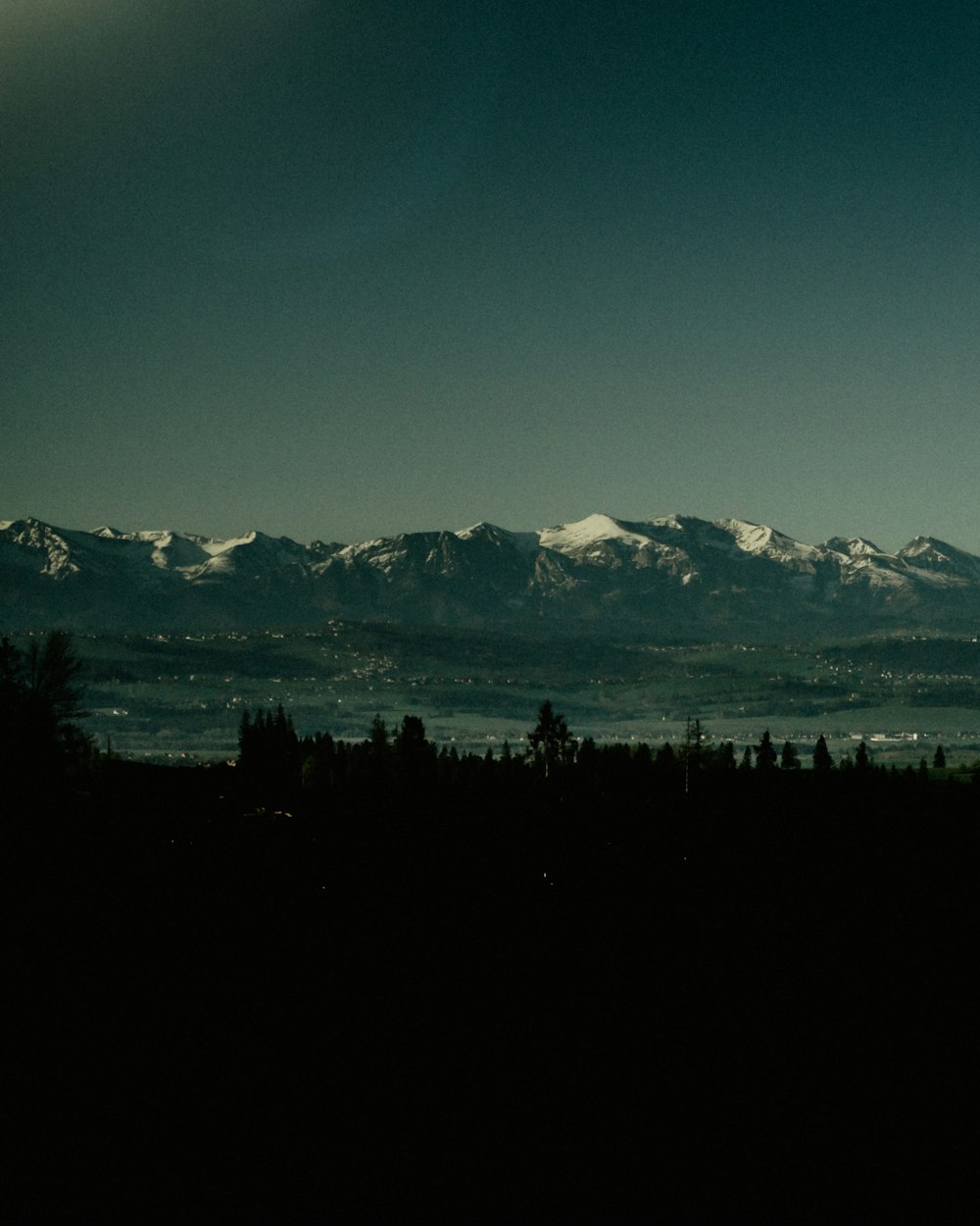 silhouette of trees and mountains during daytime