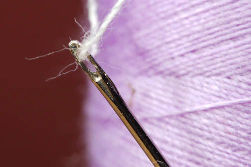 Close-up of delicate stitching on a custom pet accessory with bright threads.