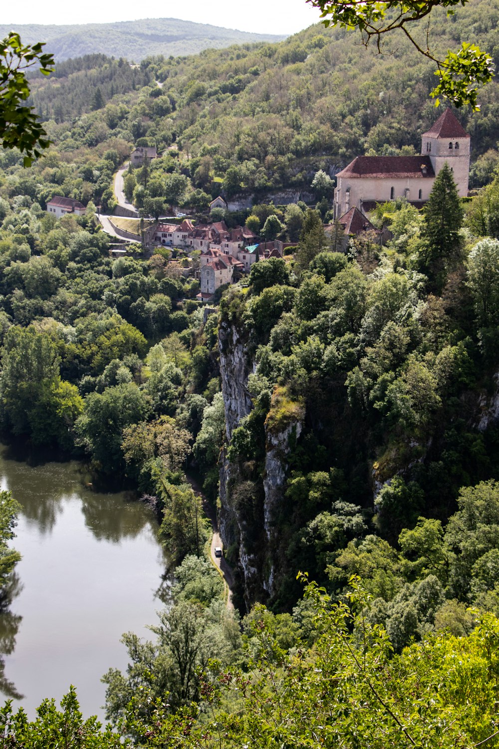 green trees beside river during daytime