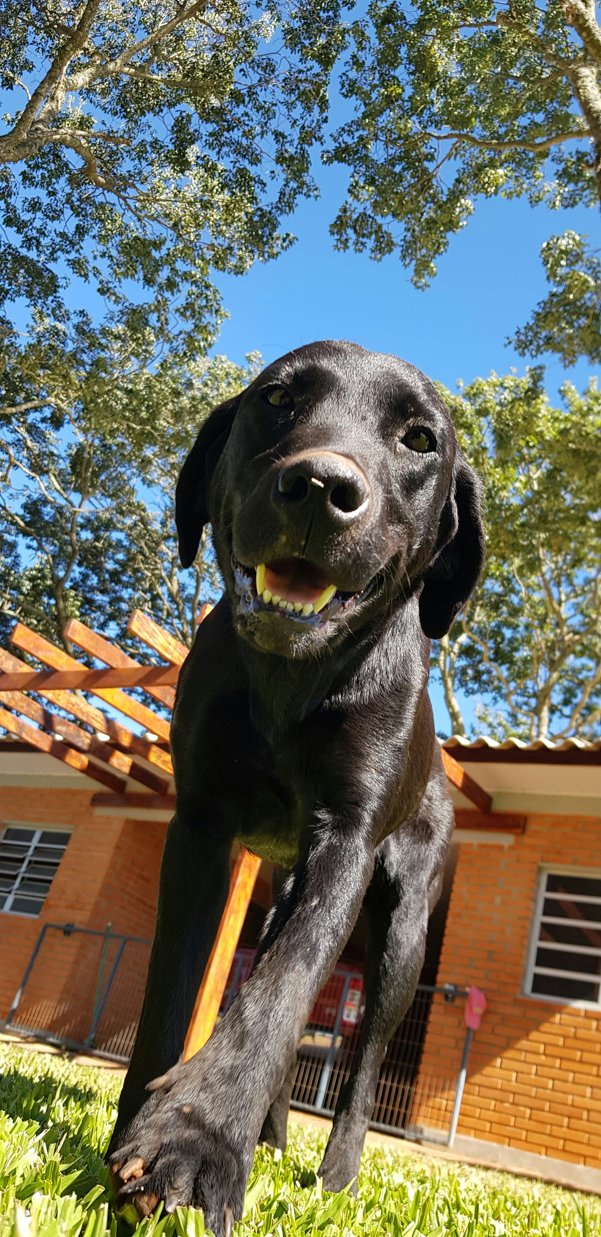 Book Your Walk Today