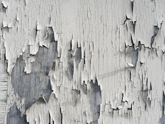 Close-up of peeling white paint on aged wooden surface, revealing weathered and cracked texture