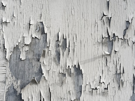 Close-up of peeling white paint on aged wooden surface, revealing weathered and cracked texture