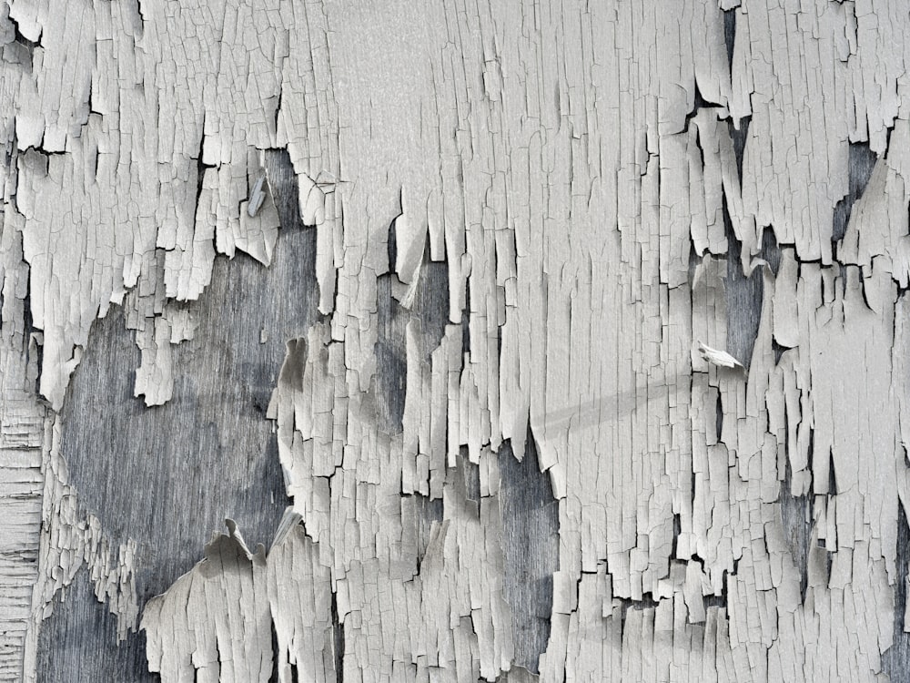 white and blue concrete wall