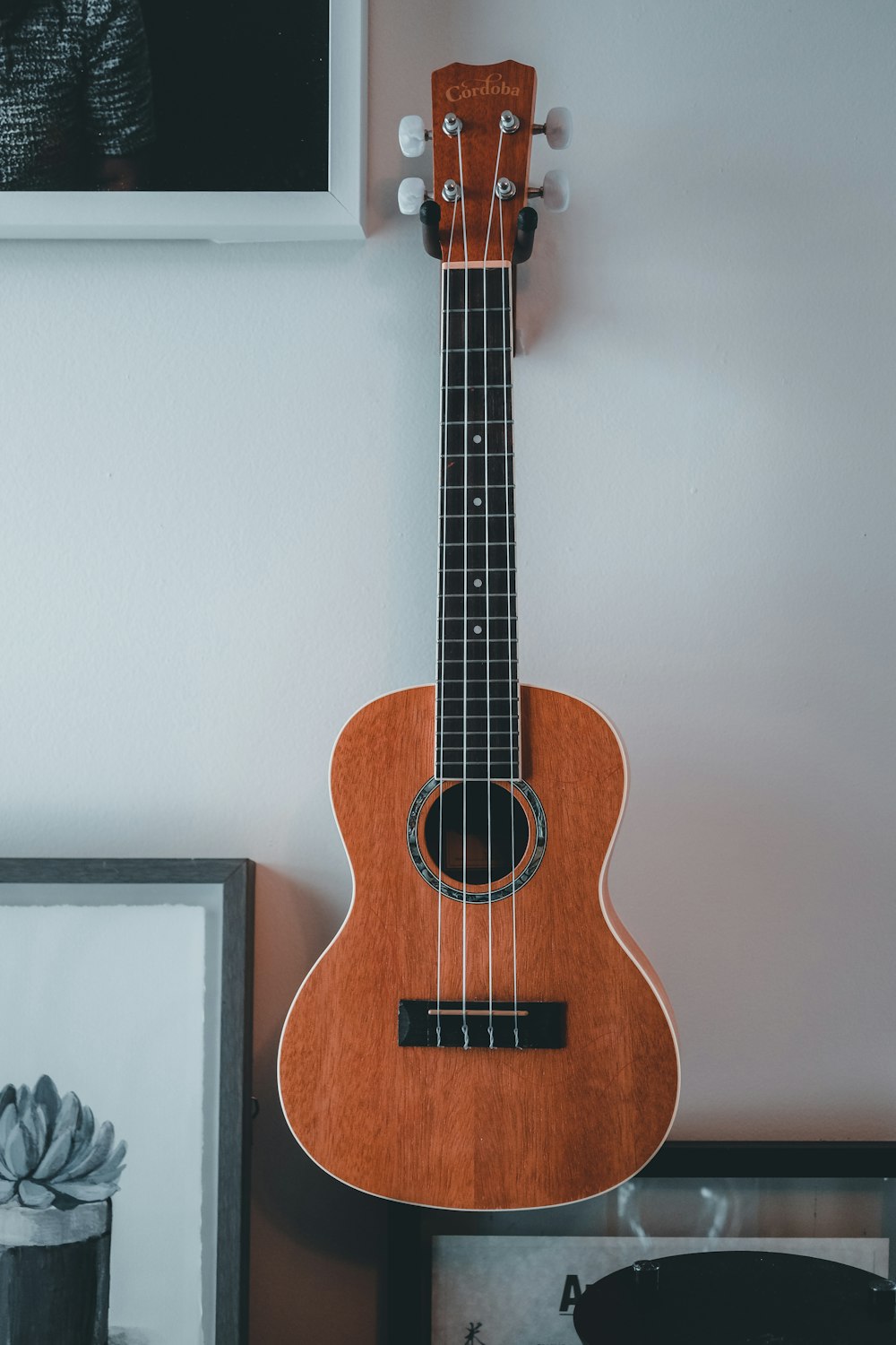 Guitarra acústica marrón sobre pared blanca
