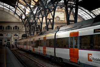 white red and black train on rail tracks