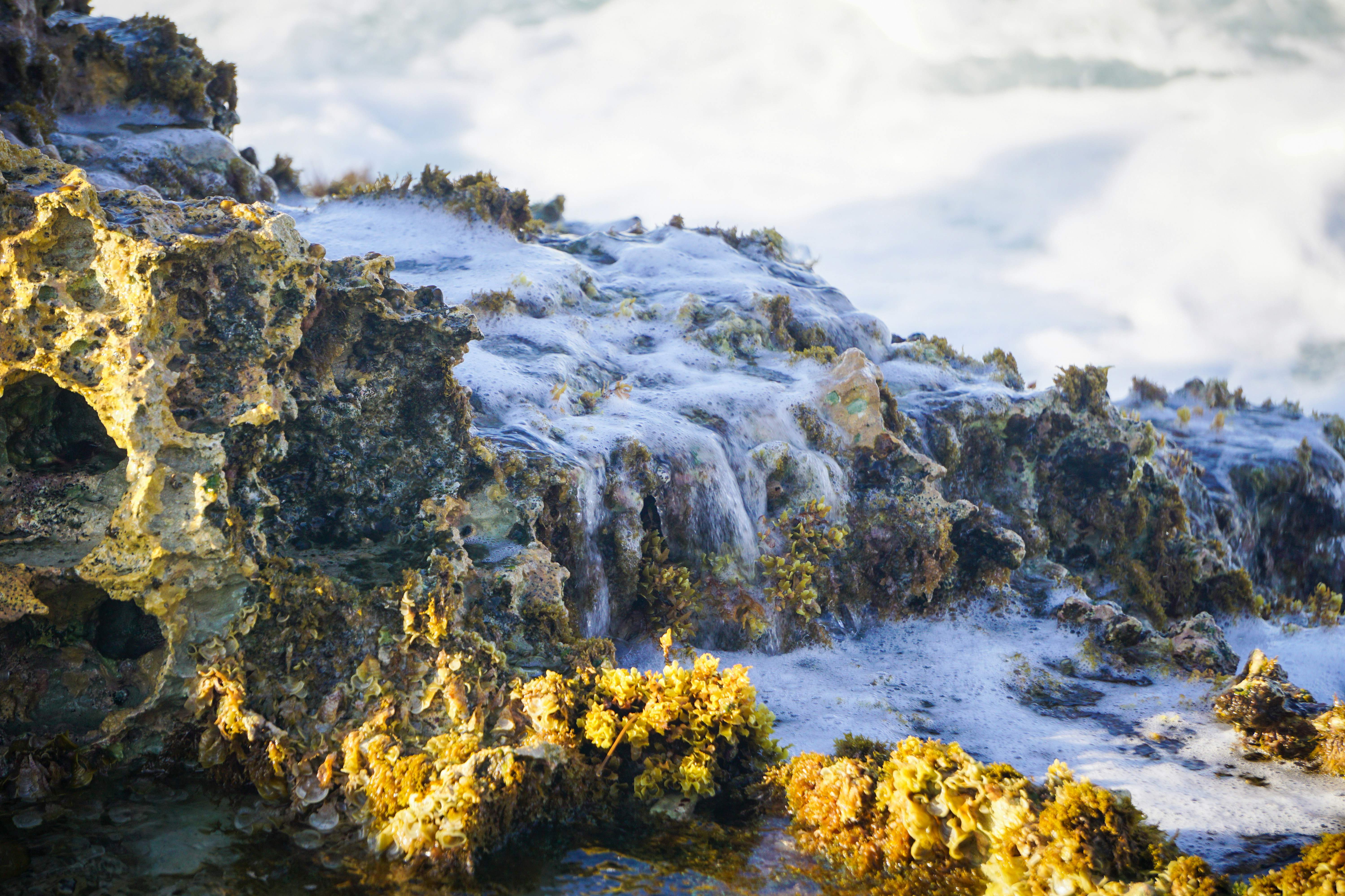 person standing on rocky mountain during daytime