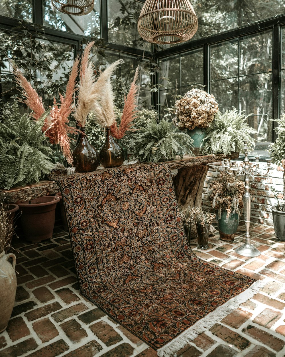 green and brown plant on brown clay pot