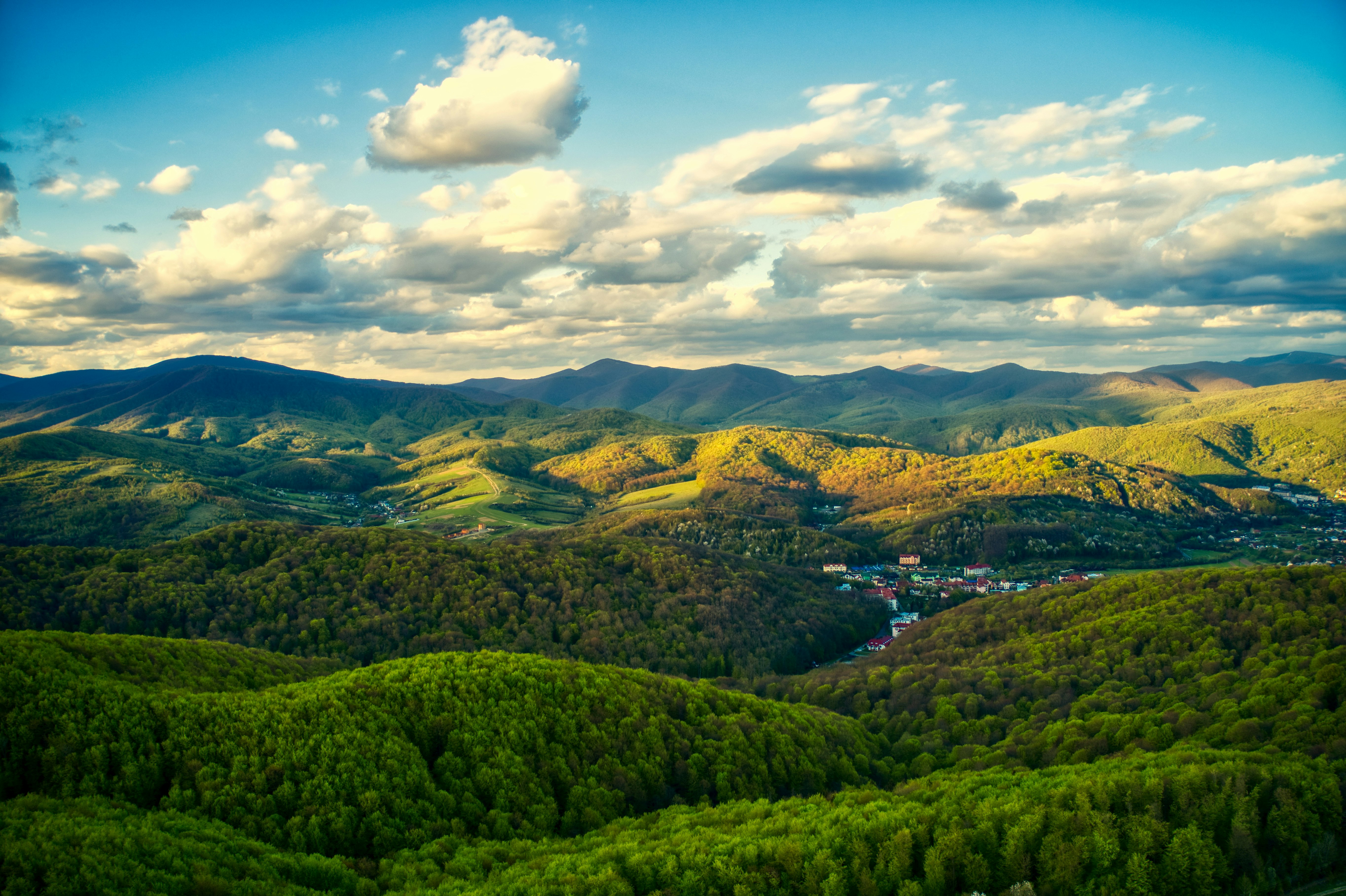 green trees on mountain under blue sky during daytime