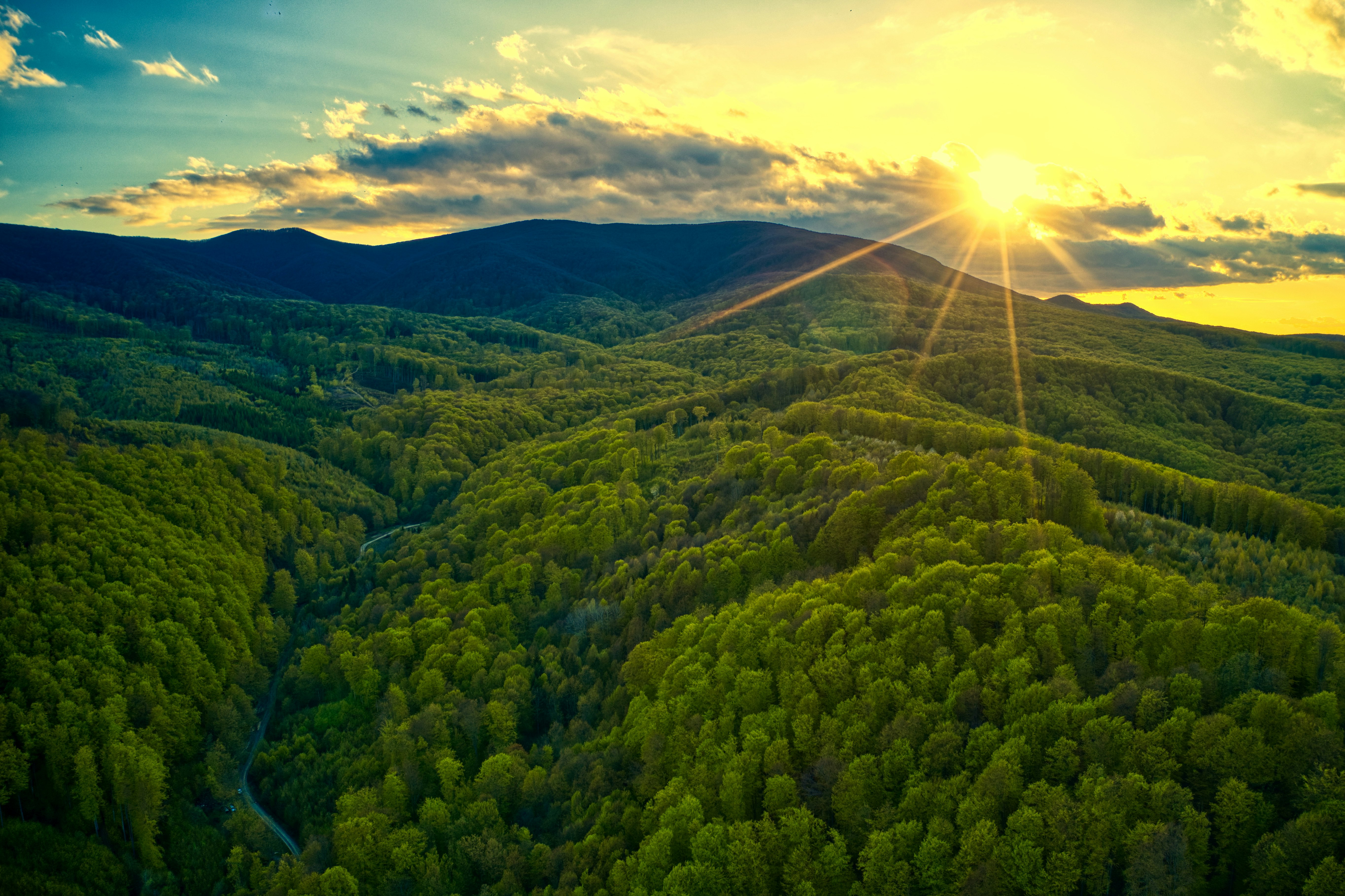 green trees on mountain under blue sky during daytime