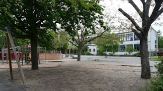 A playground with various equipment surrounded by large trees and a sandy area. In the background, there is a modern white building with large windows and visible greenery. The playground appears empty, and the setting suggests a peaceful environment.
