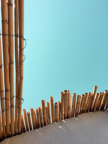 An arrangement of vertical bamboo sticks secured with wire forms a fence against a clear blue sky. The bamboo poles show natural variations in color and texture, and the tops are cut unevenly.