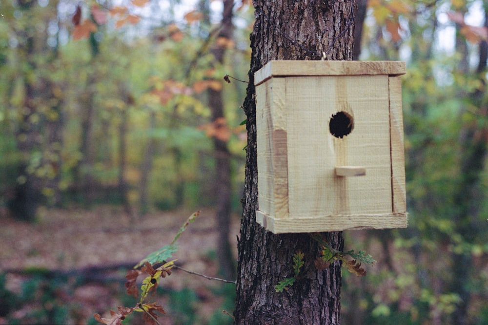 brown wooden birdhouse on tree trunk