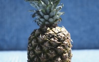 pineapple fruit on white table